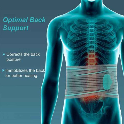 TYNOR A-05 LUMBO SACRAL BELT