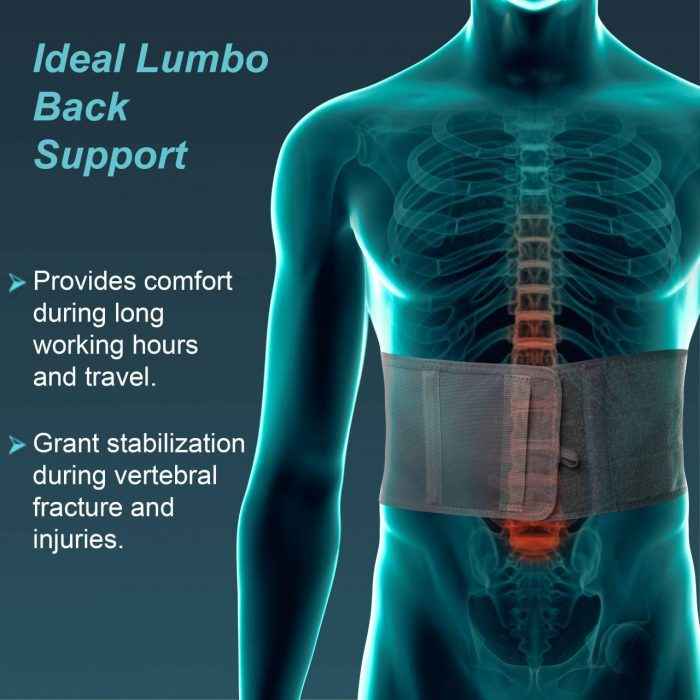 TYNOR A-15 LUMBO SUPPORT, GREY, 1 UNIT